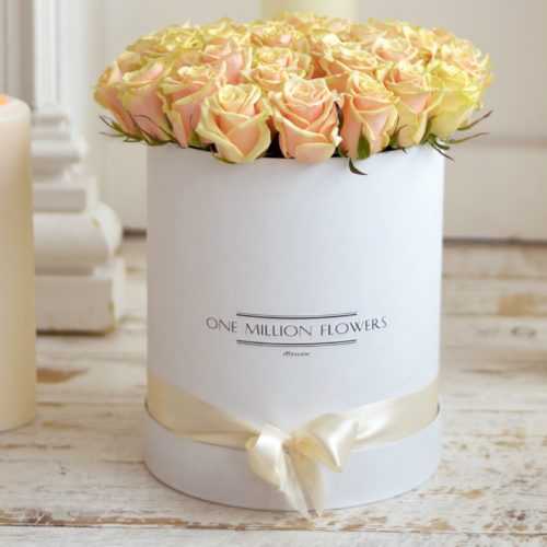 Коробка «Талеа Лайт» White - Mini