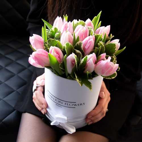 Коробка тюльпанов "Династия Лайт"